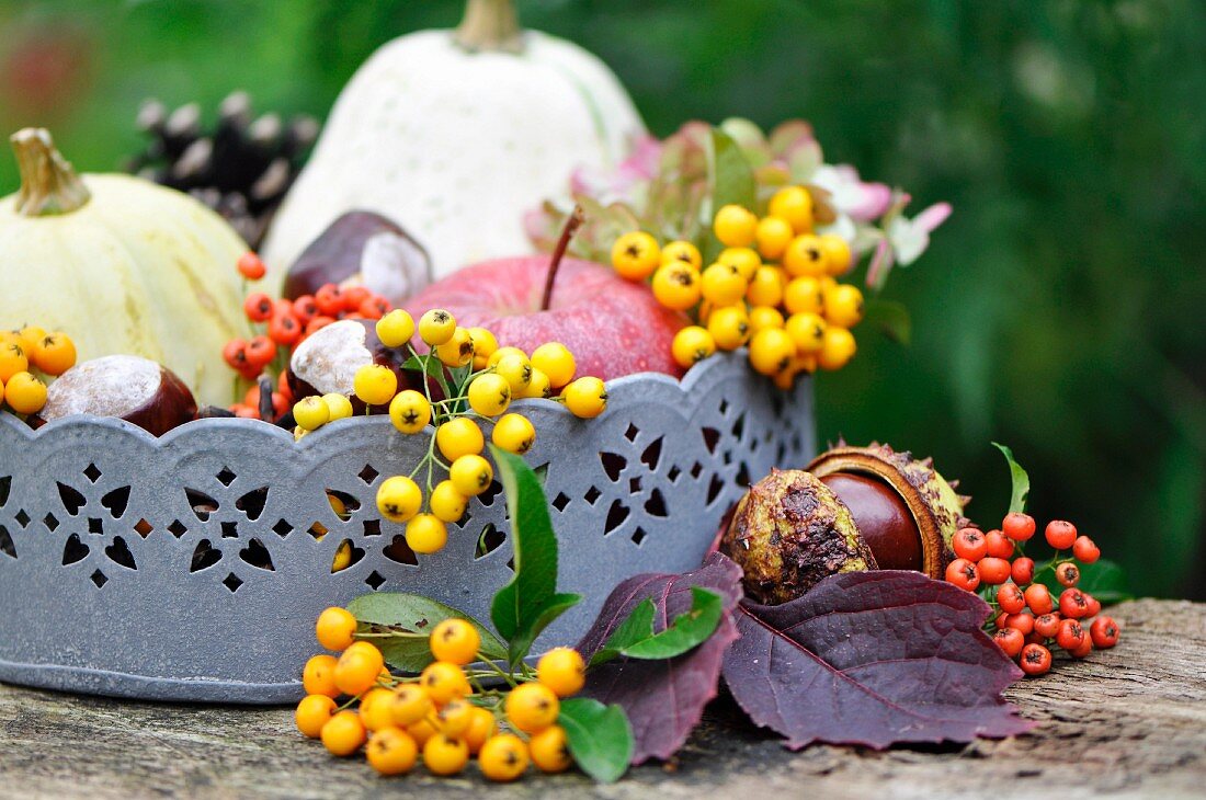 Zinktablett mit Kastanien, Äpfeln, Kürbissen und Beeren