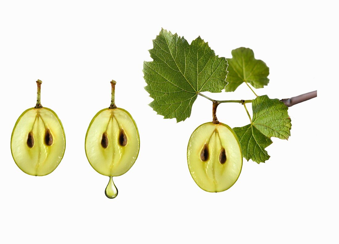 Symbol for grape seed oil