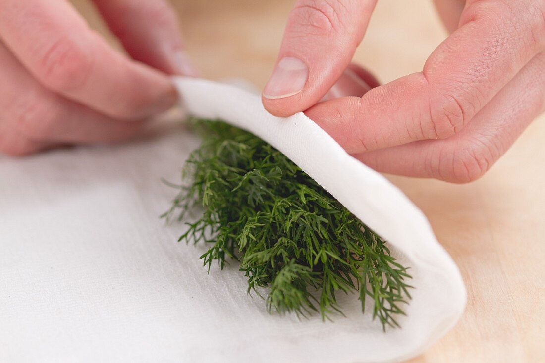 Dill mit Küchenkrepp trocken tupfen