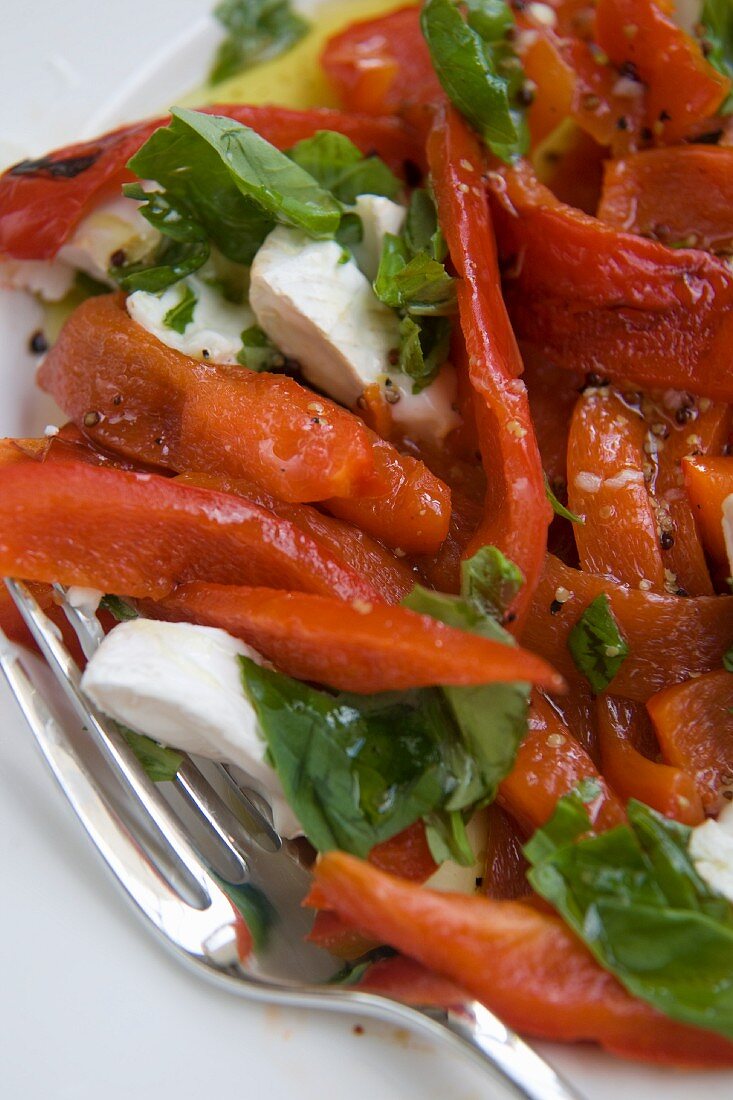 Salat mit geröstetem rotem Paprika, Mozzarella & Basilikum