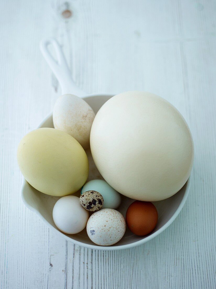Assorted eggs in a kitchen colander