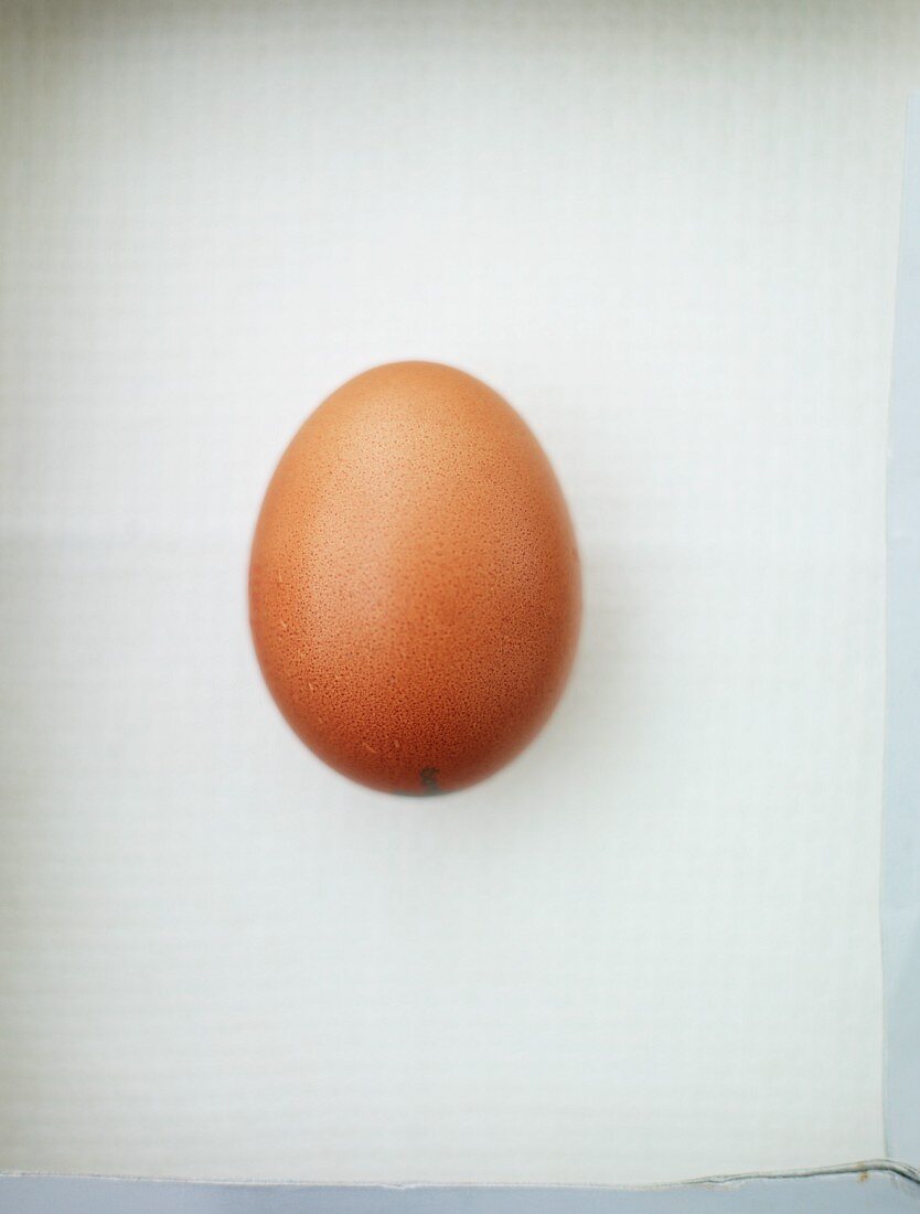 A brown hen's egg
