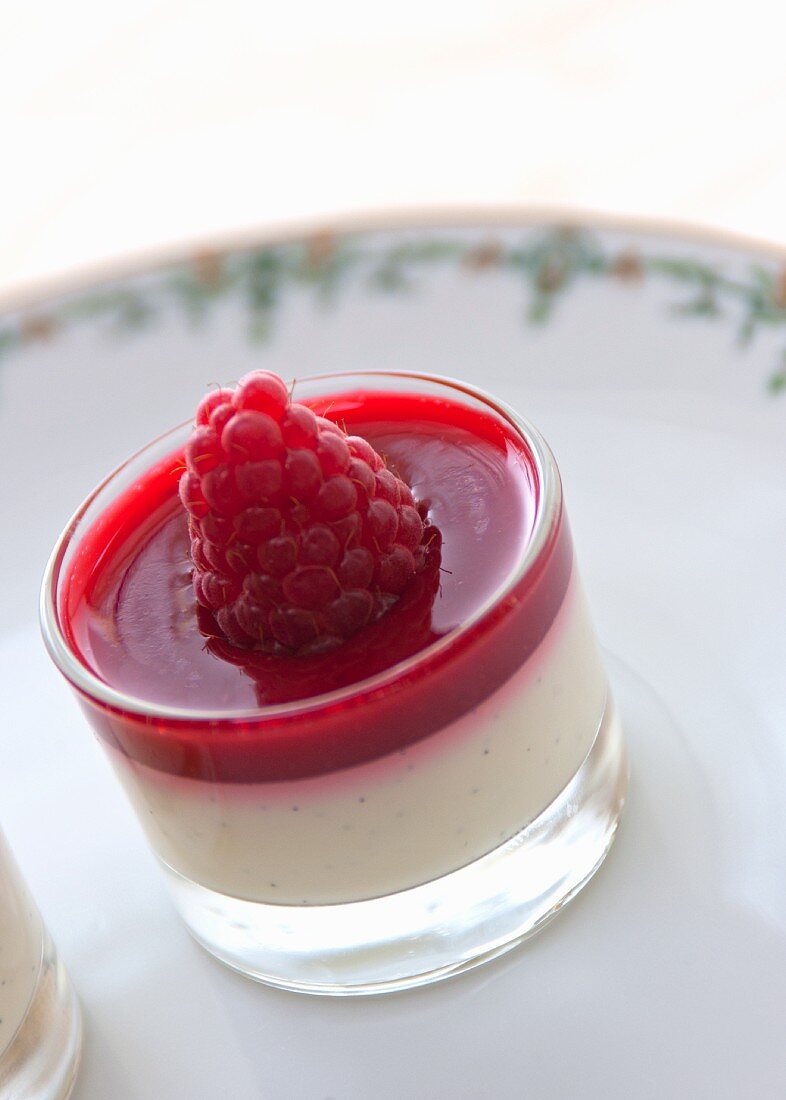 Vanilla ice cream with raspberries