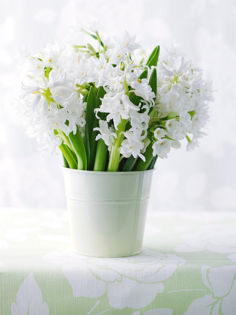 weiße Hyazinthen in Vase