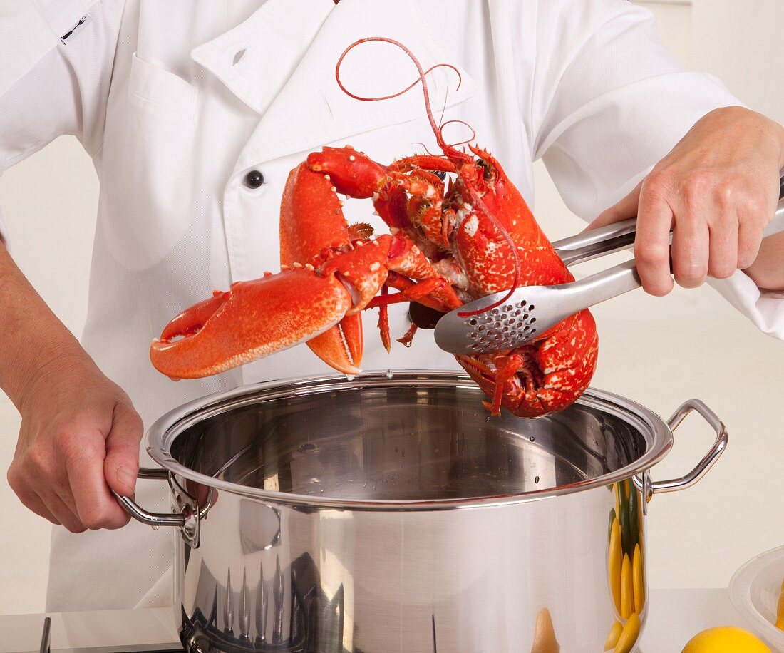 A chef holding a cooked lobster above a pot
