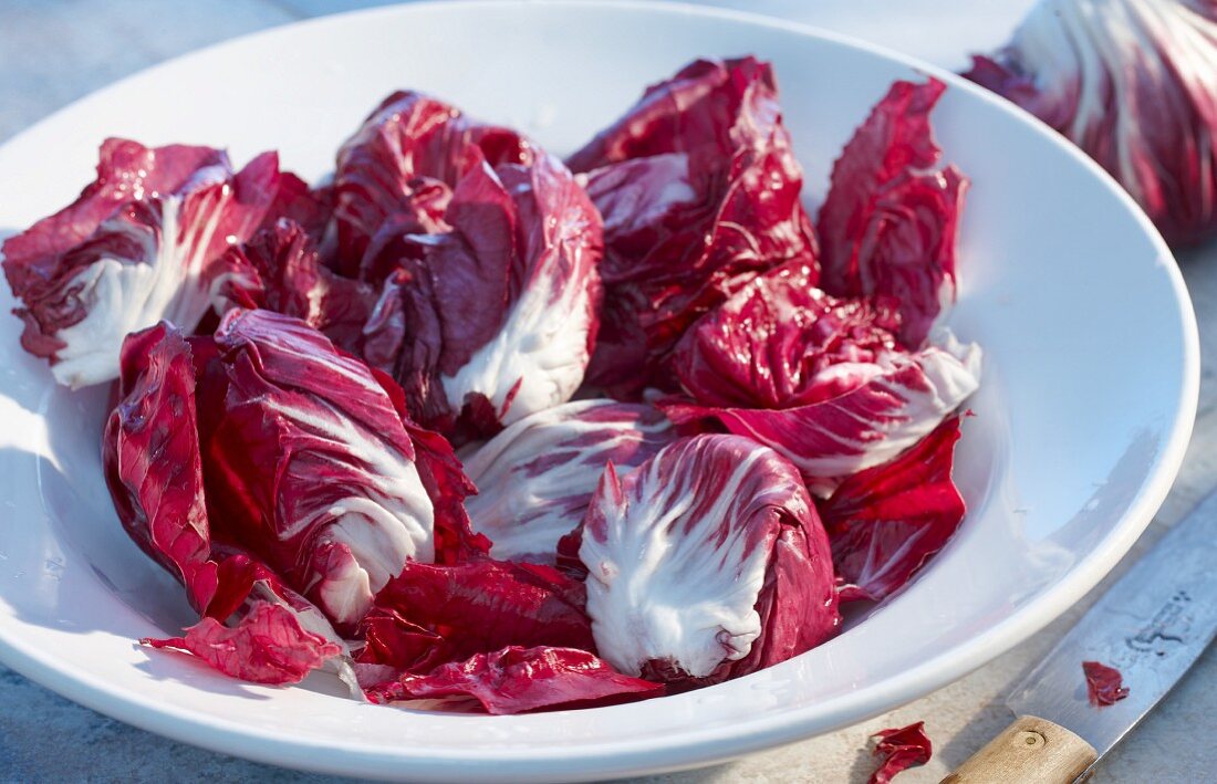 Frischer Radicchio auf Teller