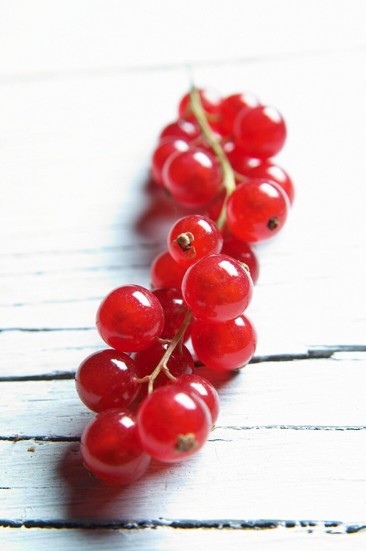 A bunch of redcurrants