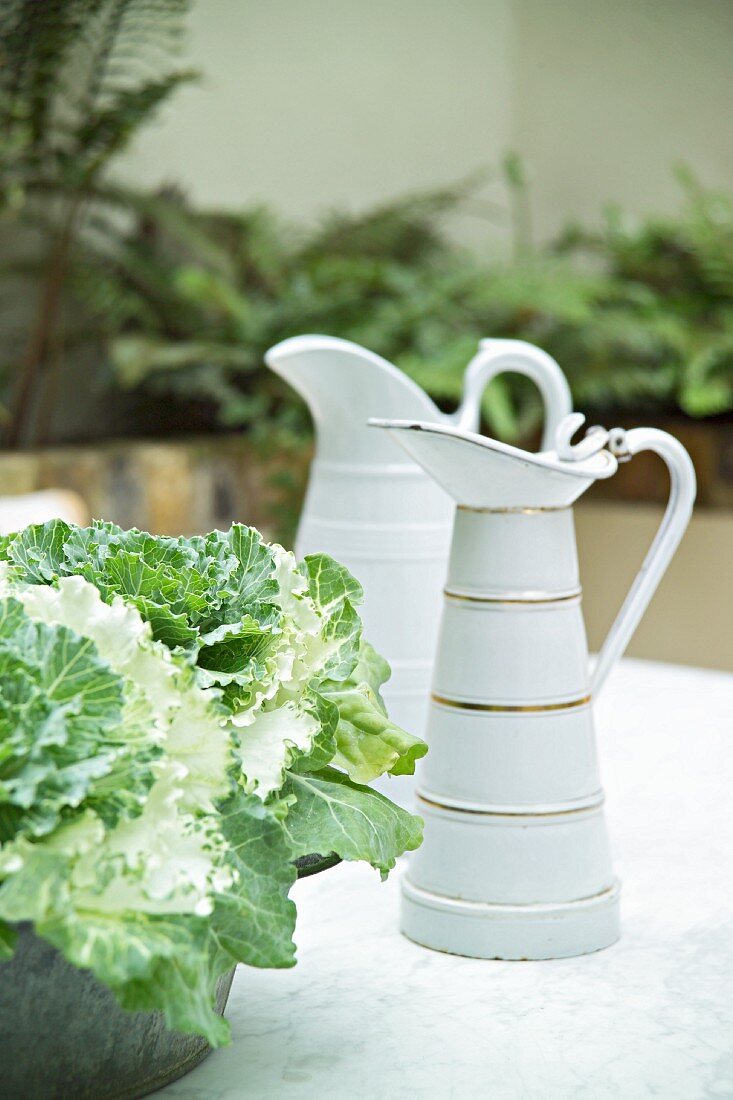 Antique, white-painted jugs next to plant pot