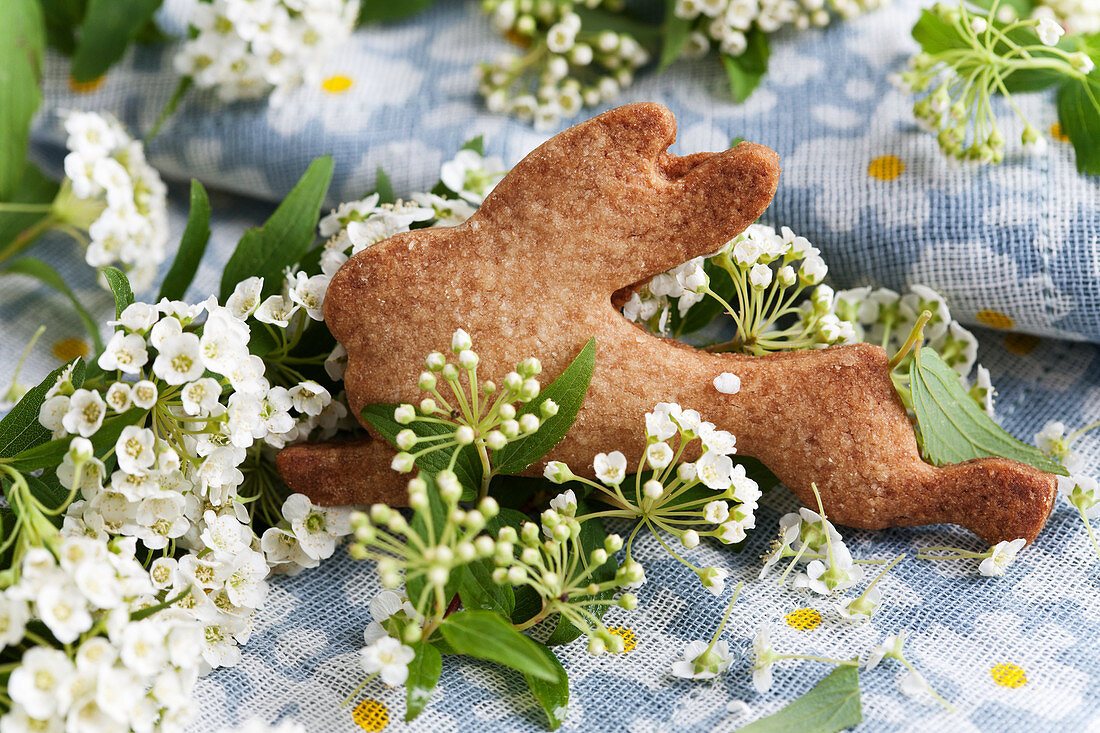 Hasenförmiges Plätzchen und Spireen