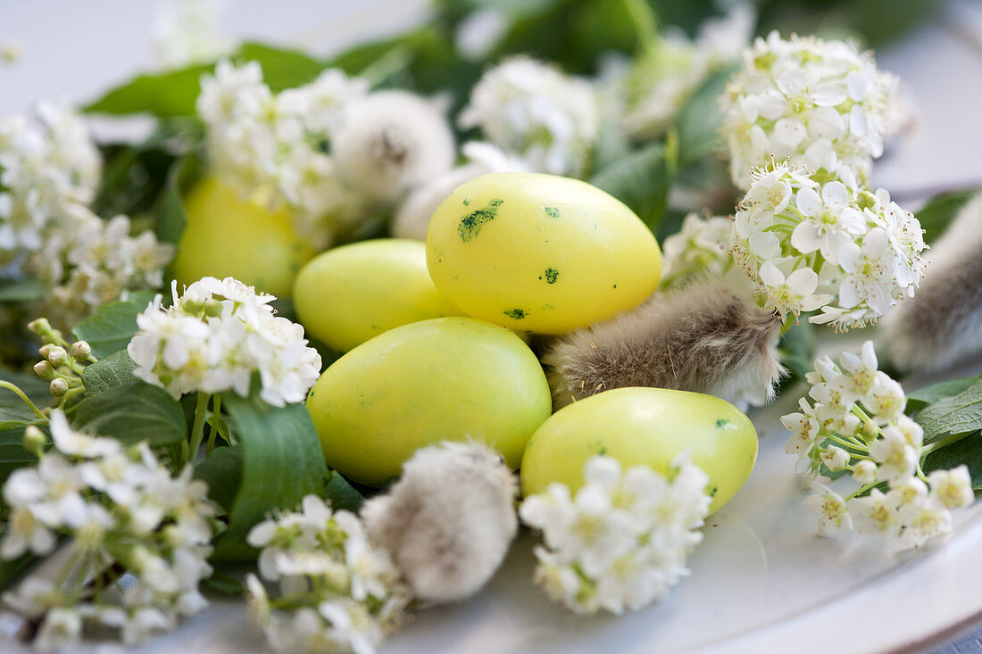 Catkins, sugar eggs and spiraea