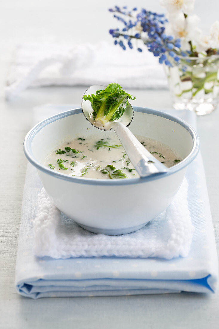Cream of Brussels sprouts soup with parsley