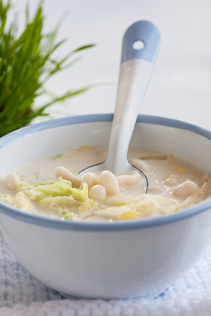 Cremige Suppe mit Enoki-Pilzen