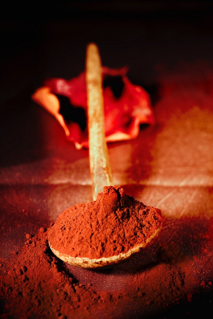 Cocoa powder on an old wooden spoon