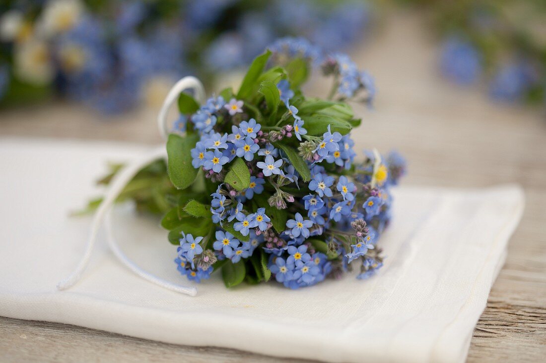 A small bunch of forget-me-not