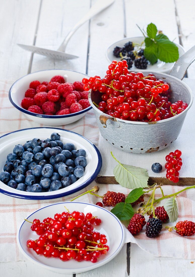 Rote Johannisbeeren, Blaubeeren, Himeerene und Brombeeren