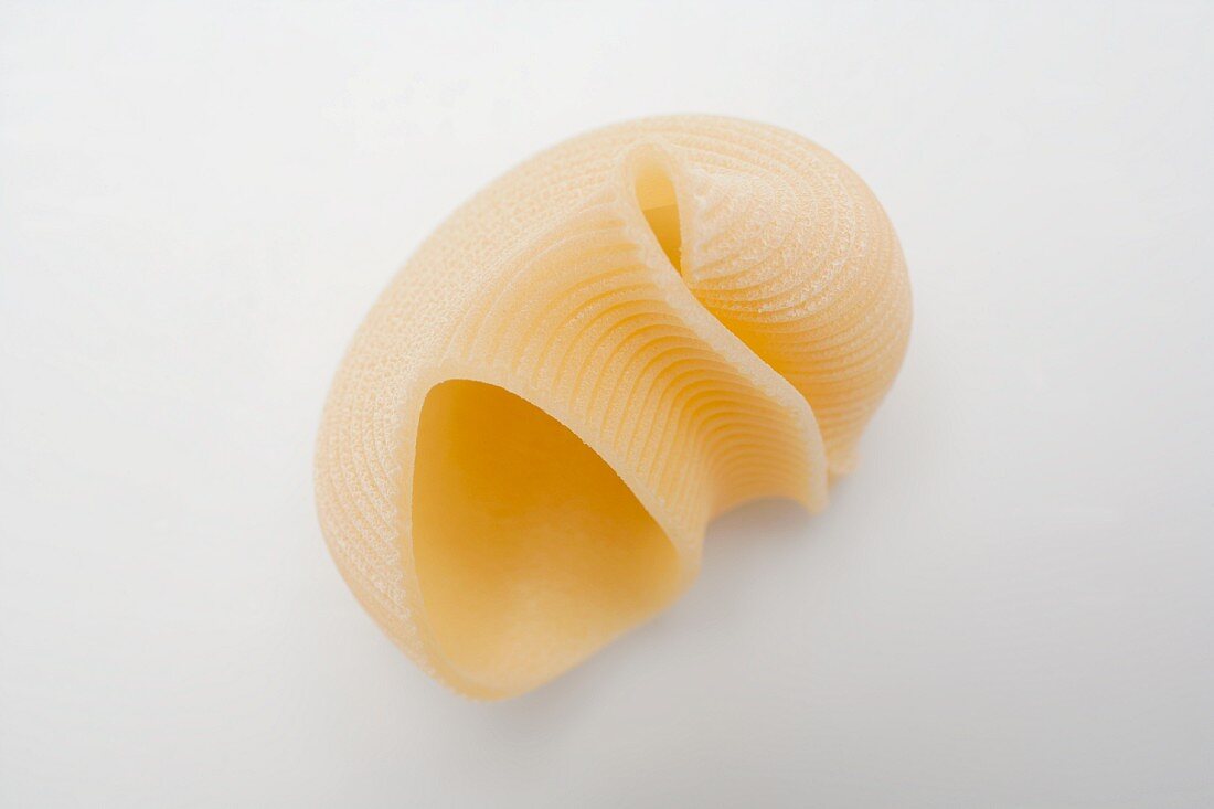 Lumaconi Giganti (giant pasta shell)