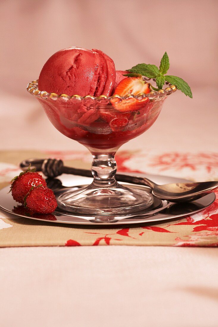 Erdbeersorbet mit Minzeblättchen und frischen Erdbeeren