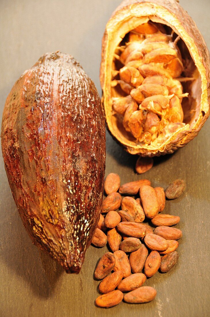A cacao fruit and cocoa beans