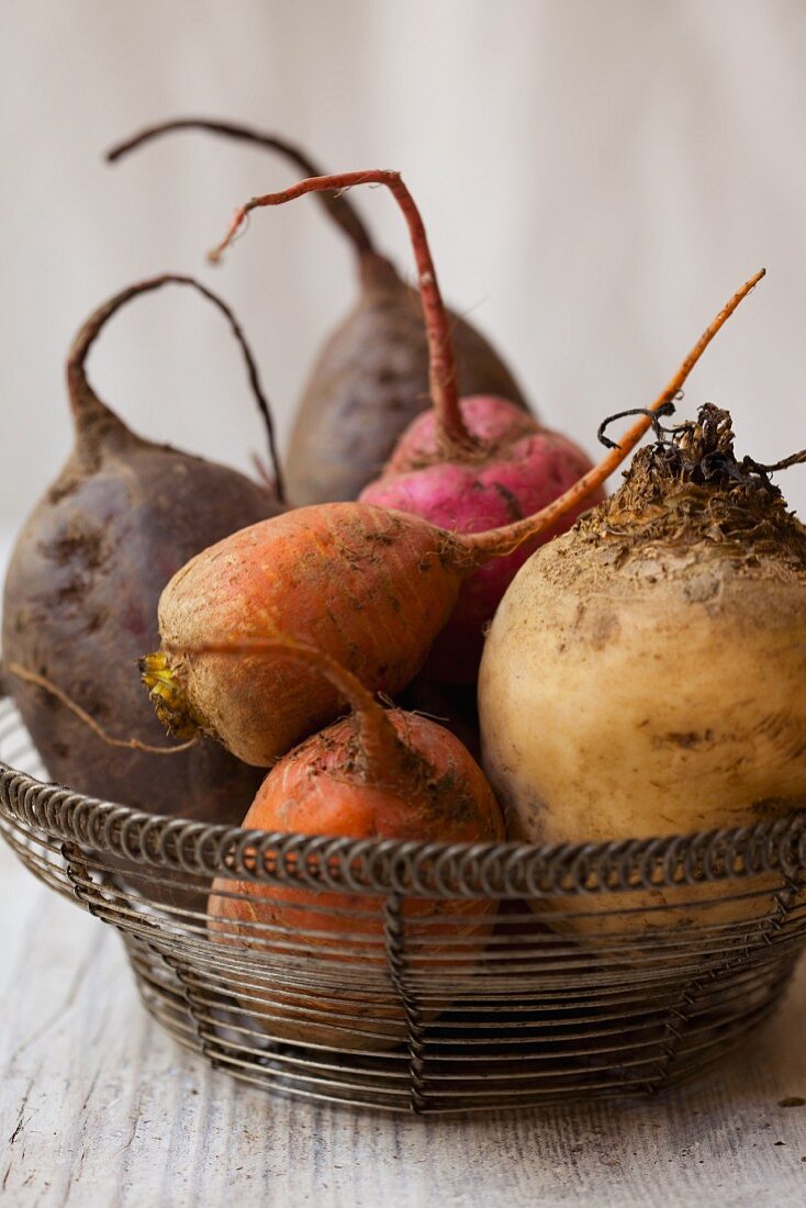 Various turnips in a wire basket