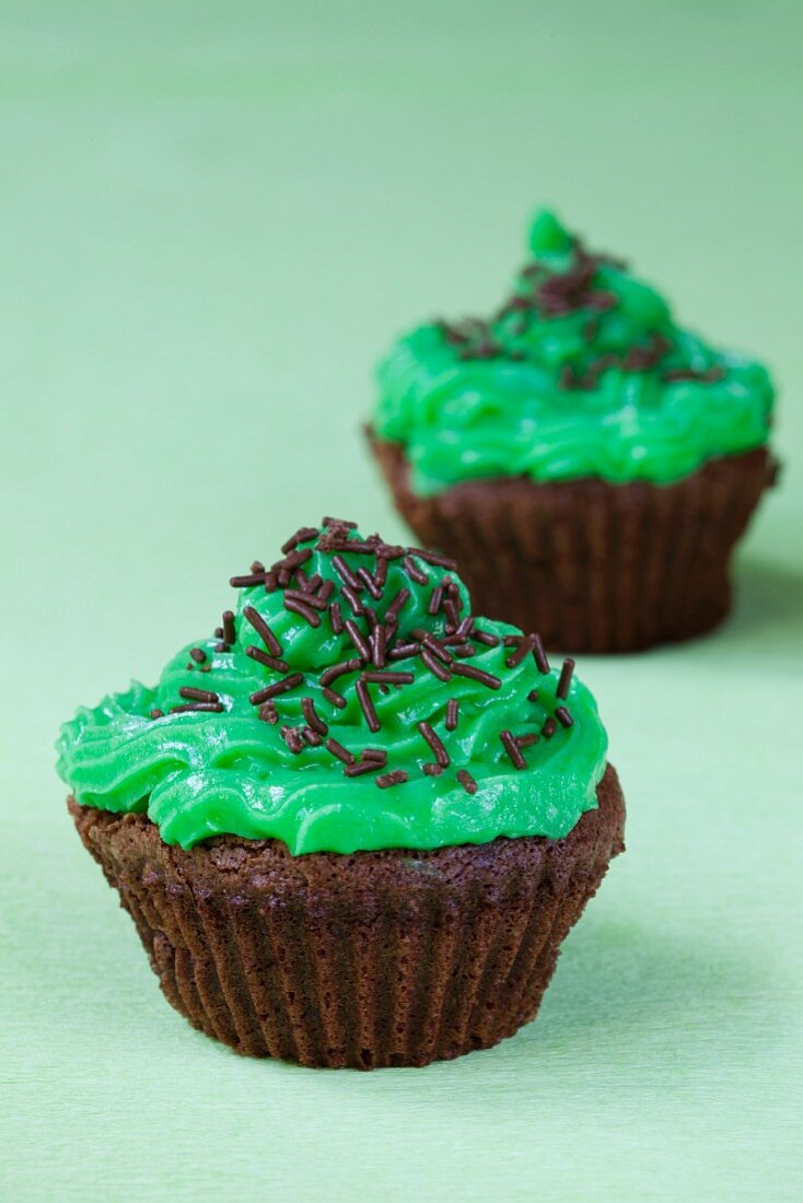 Chocolate cupcakes with green frosting and chocolate sprinkles