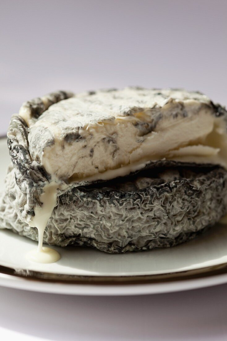 Selles-sur-Cher goat's cheese from France