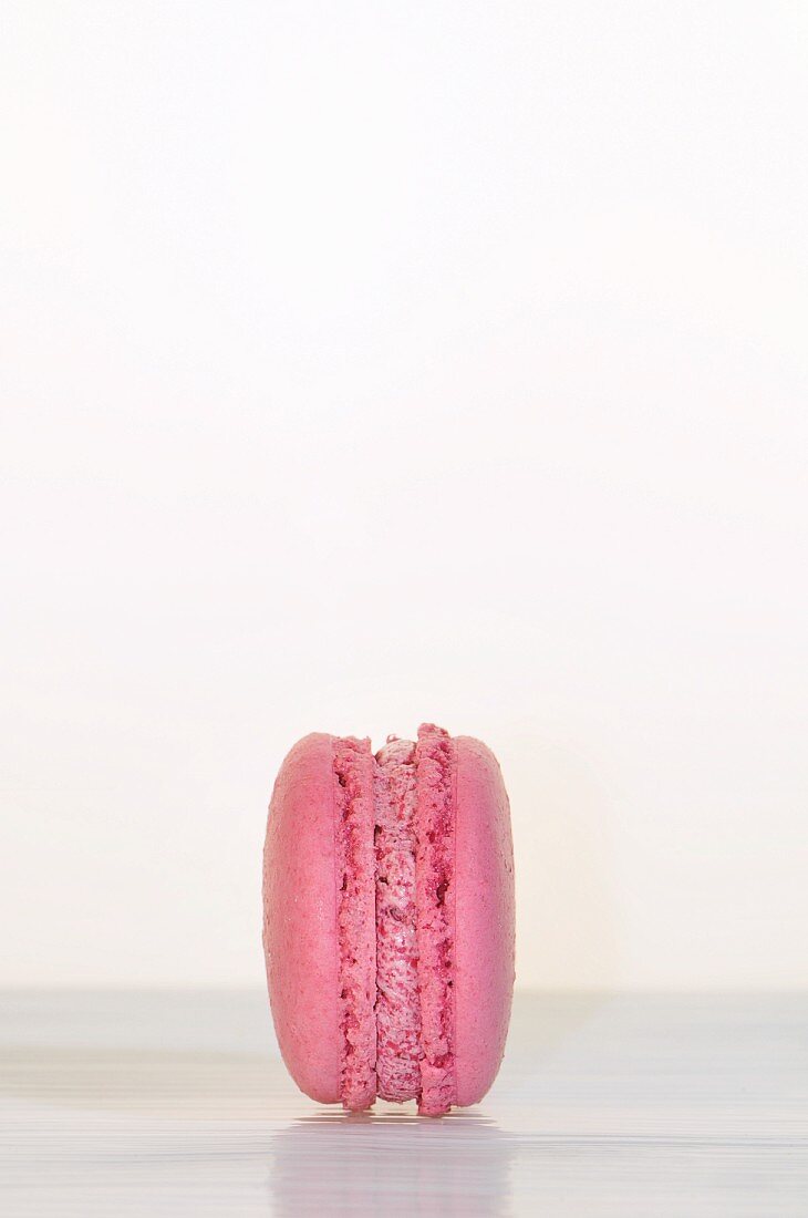 A raspberry macaroon