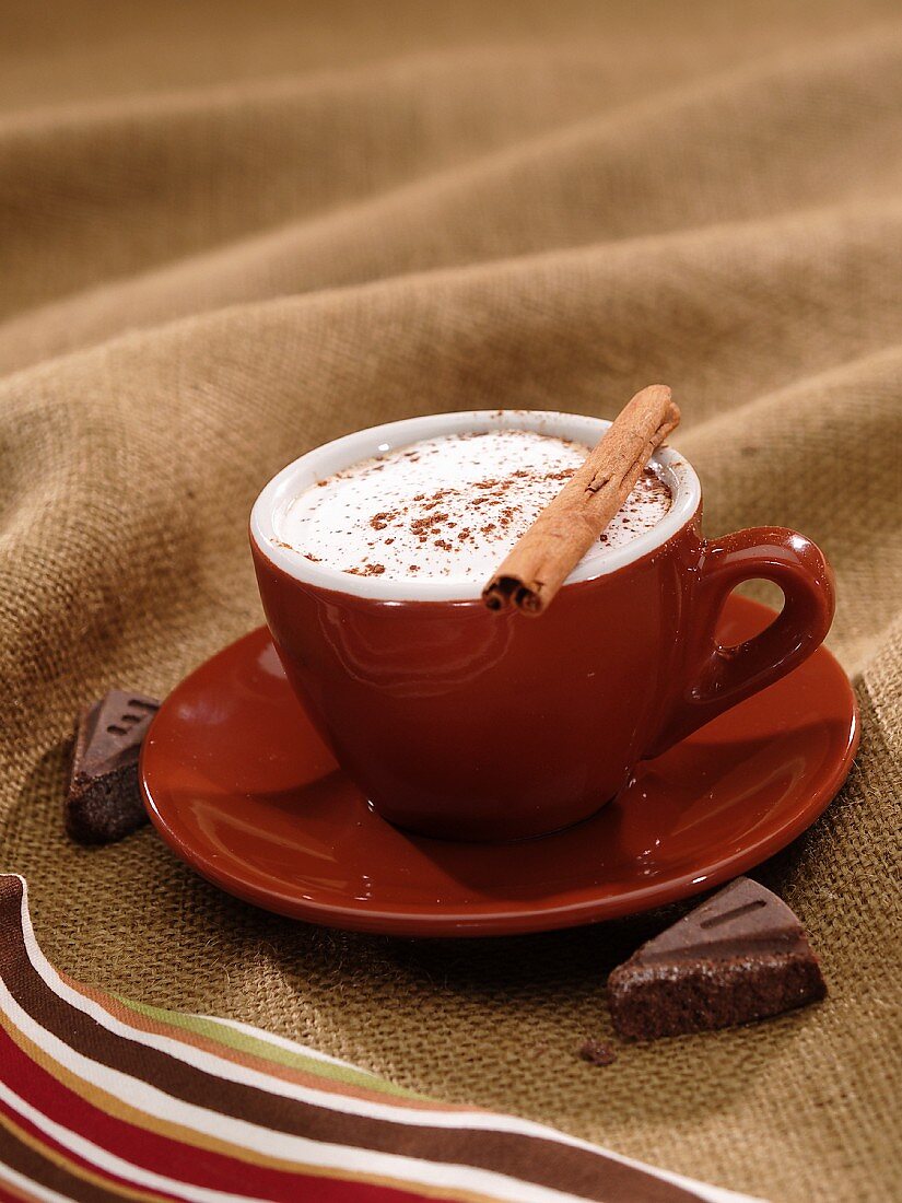 Mexican Hot Chocolate with Creme and a Cinnamon Stick