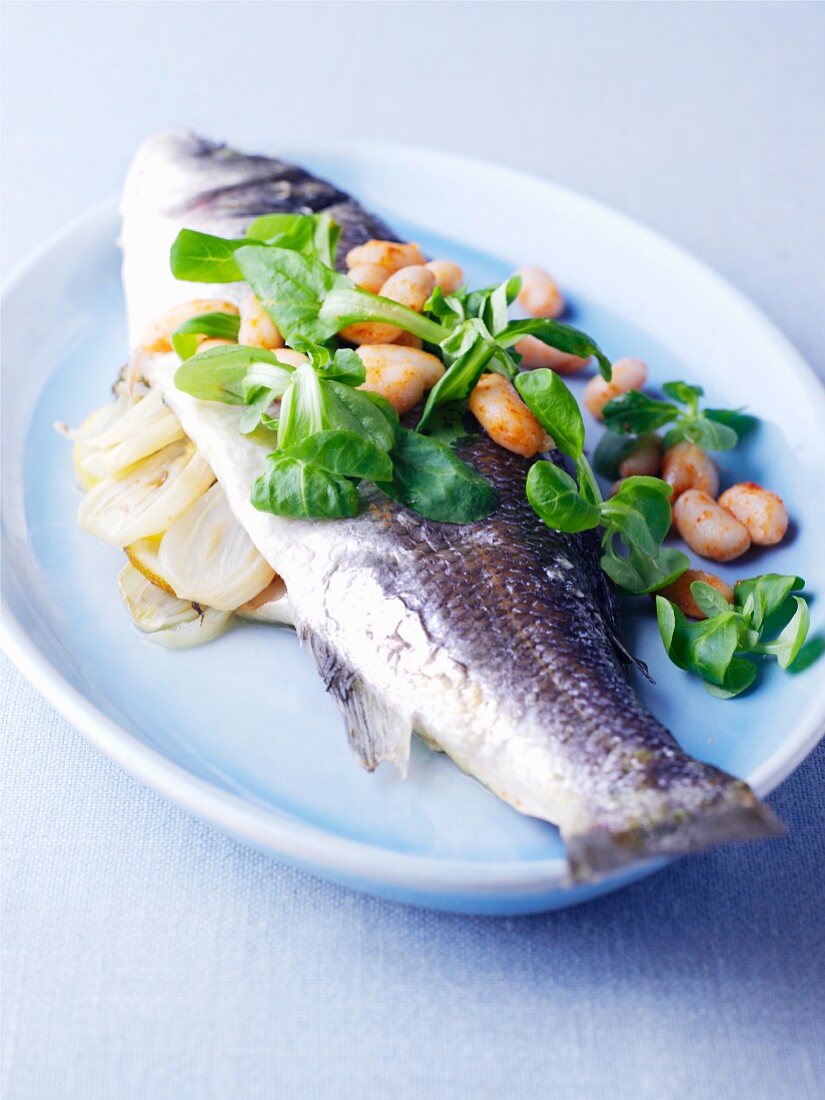 Seebarsch mit weissen Bohnen, Lauch und Feldsalat