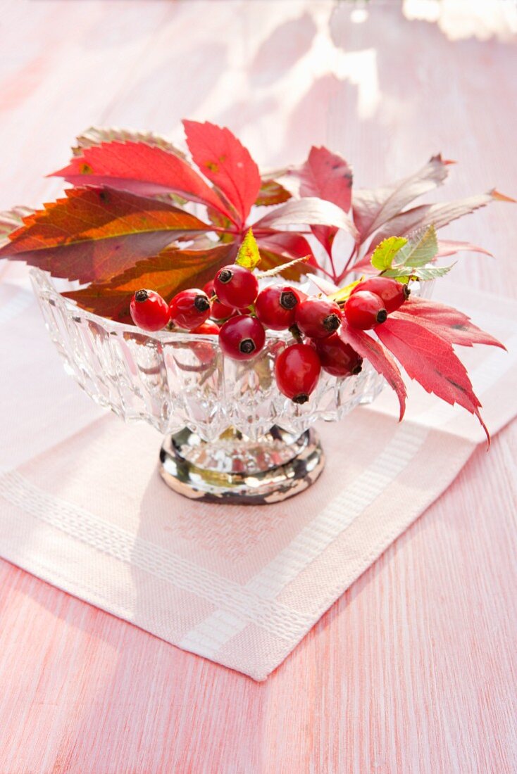 Rosehips and Virginia creeper leaves in glass bowl