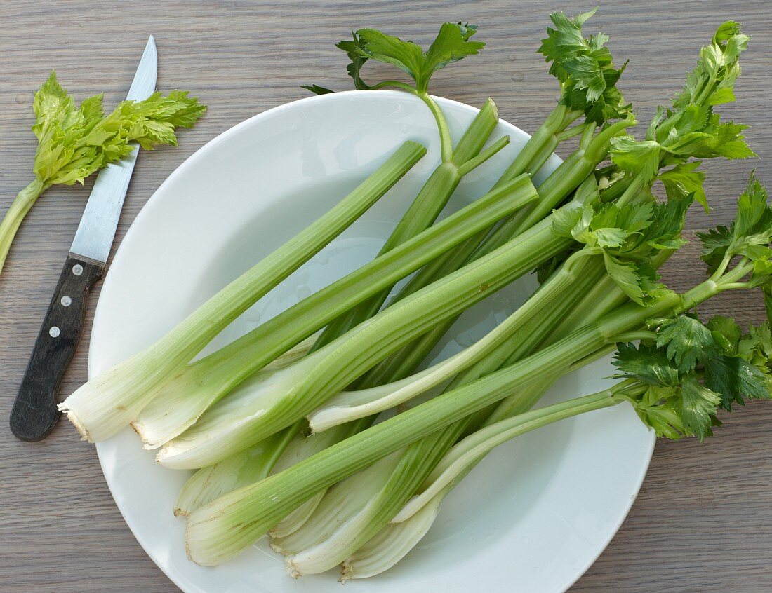 Celery on a plate