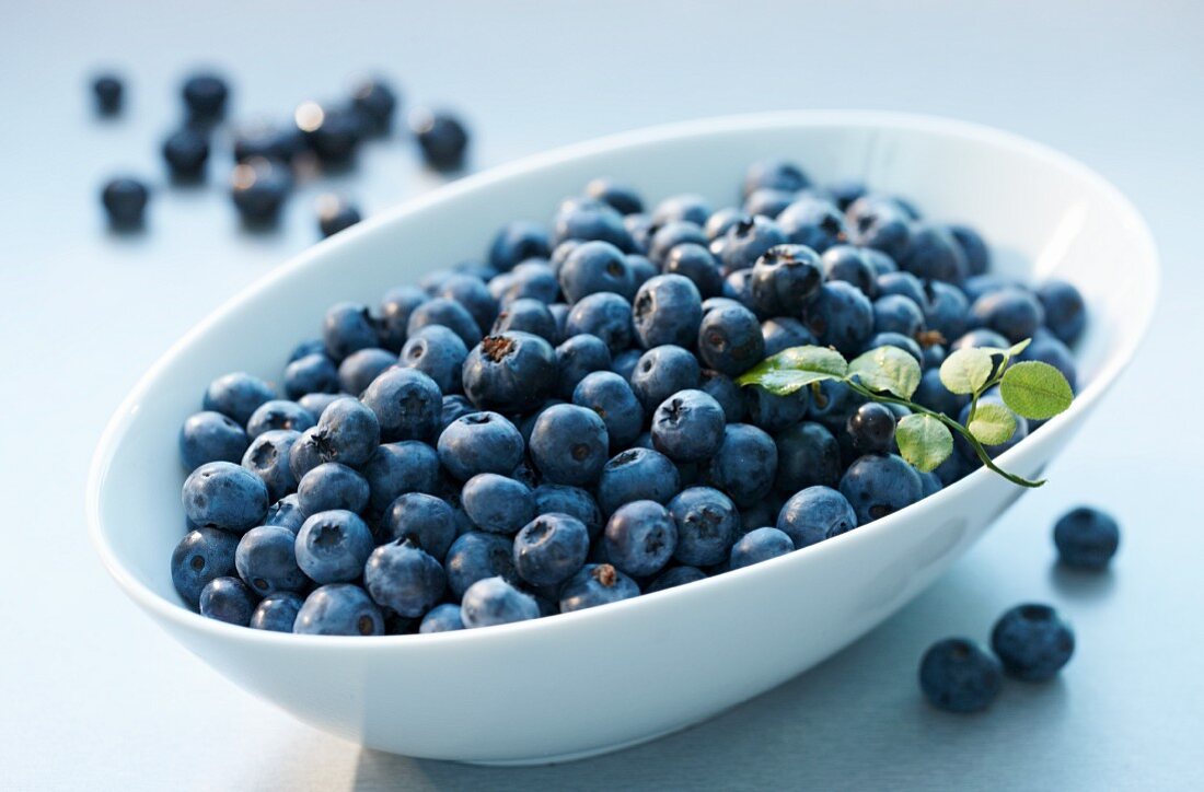Blueberries in an oval bowl