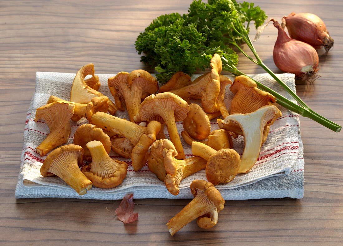 Fresh chanterelles on a kitchen table