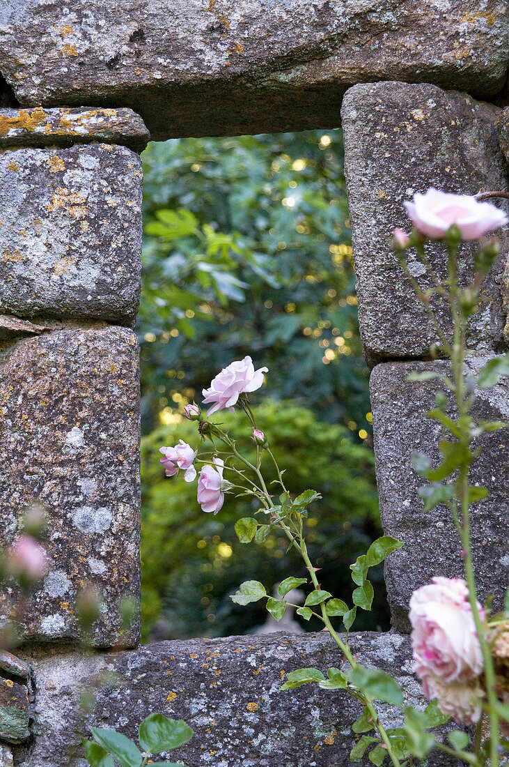 View through the garden wall