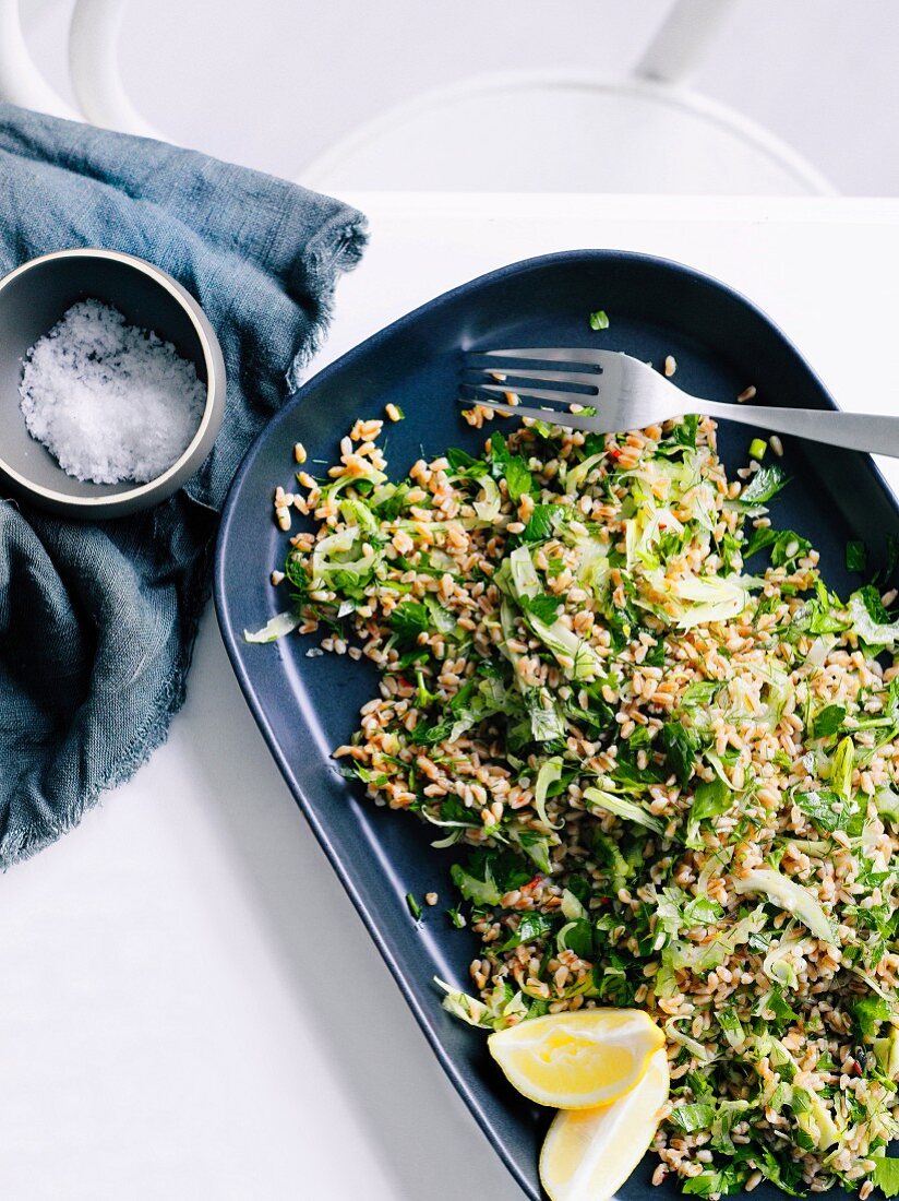 Emmer-Fenchel-Salat