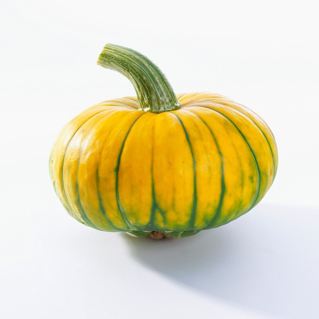 Kürbis (Cucurbita Maxima)