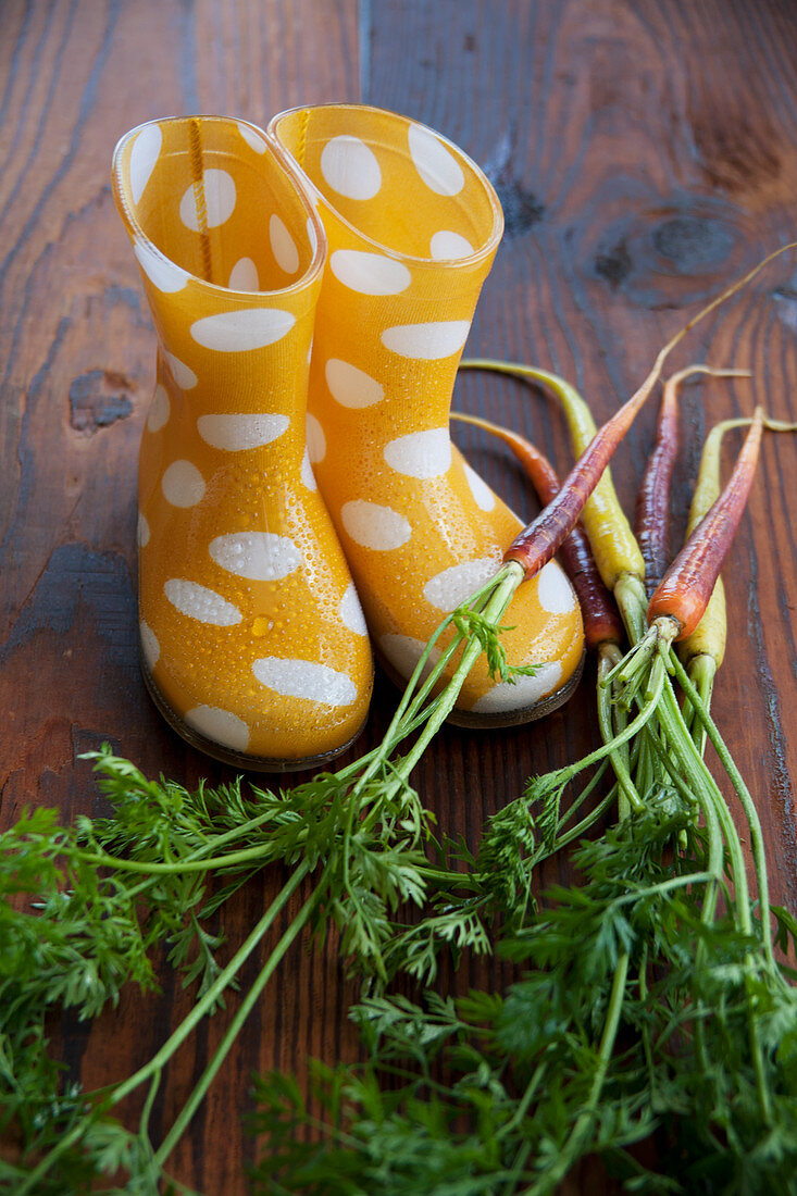 Carrots and wellington boots
