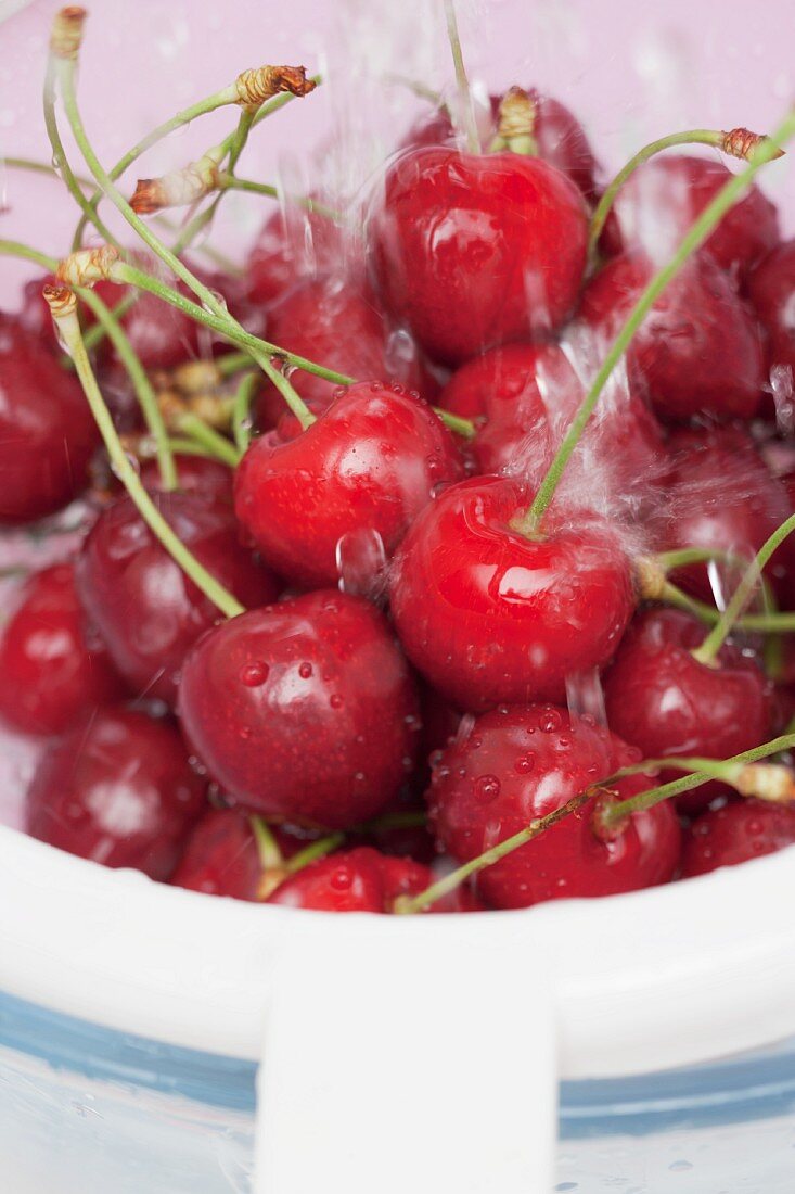 Sweet cherries being washed