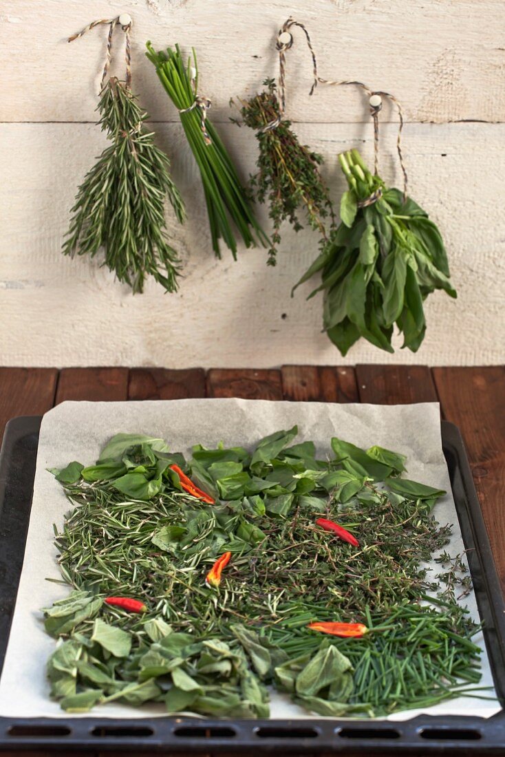 Herbs on a baking tray lined with baking paper to dry in the oven