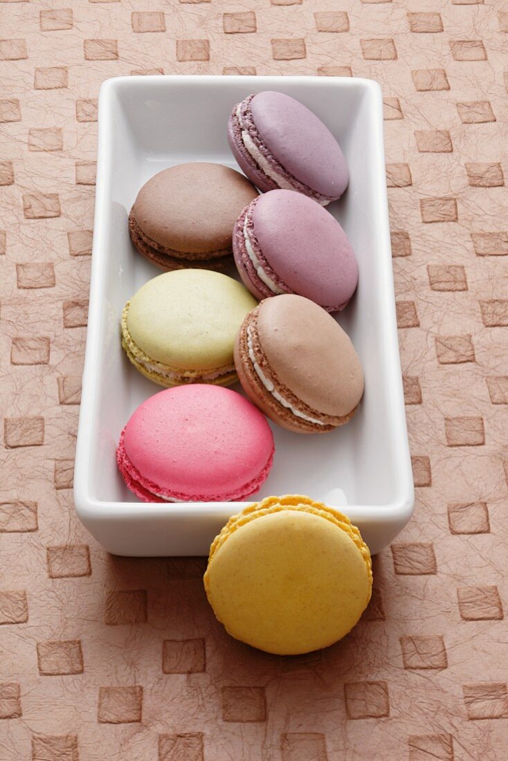 Mehrere Macarons in rechteckiger Schale