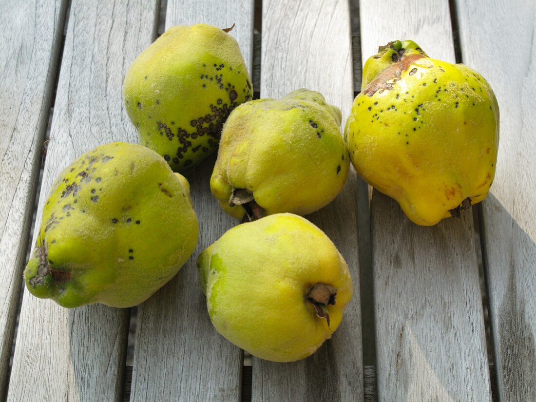 Five quinces