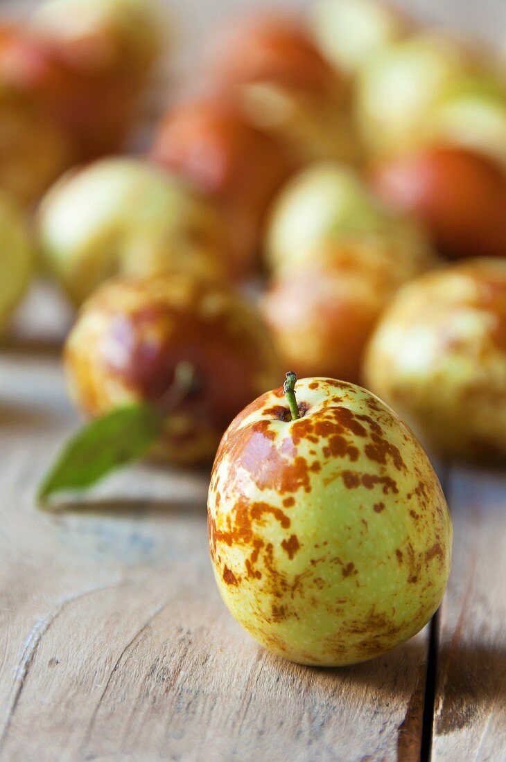 Fresh Picked Jujube Fruit