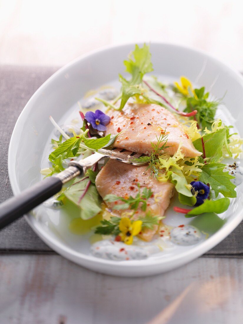 Gebackener Saibling auf Kräutersalat mit Sauerrahmdressing