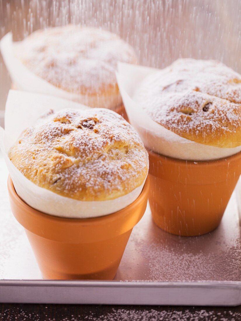 Min yeast cakes baked in clay pots