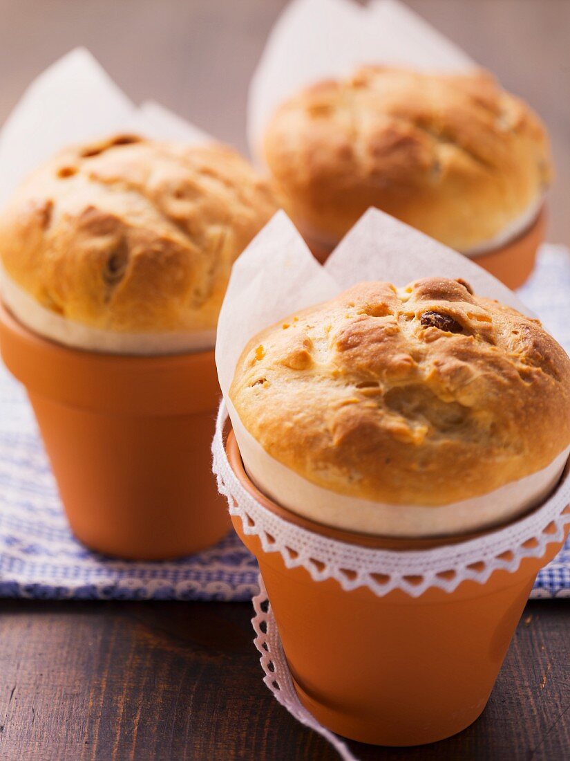 Mini yeast cakes baked in clay pots