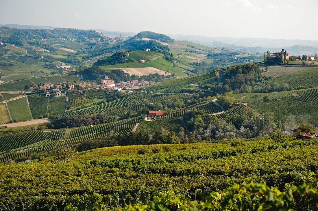 Blick von den Weinbergen auf Barolo im Talgrund (Piemont, Italien)
