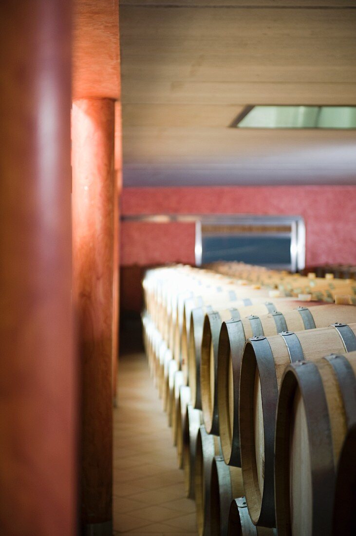 Barrique cellar at J. Heinrich winery, Deutschkreutz (Burgenland, Austria)