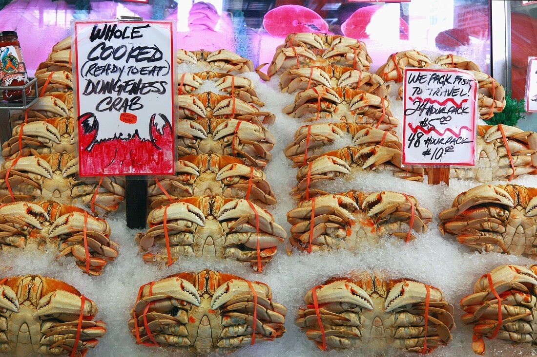 Dungeness Crabs (Krabbe) auf dem Pike Place Fischmarkt in Seattle, USA