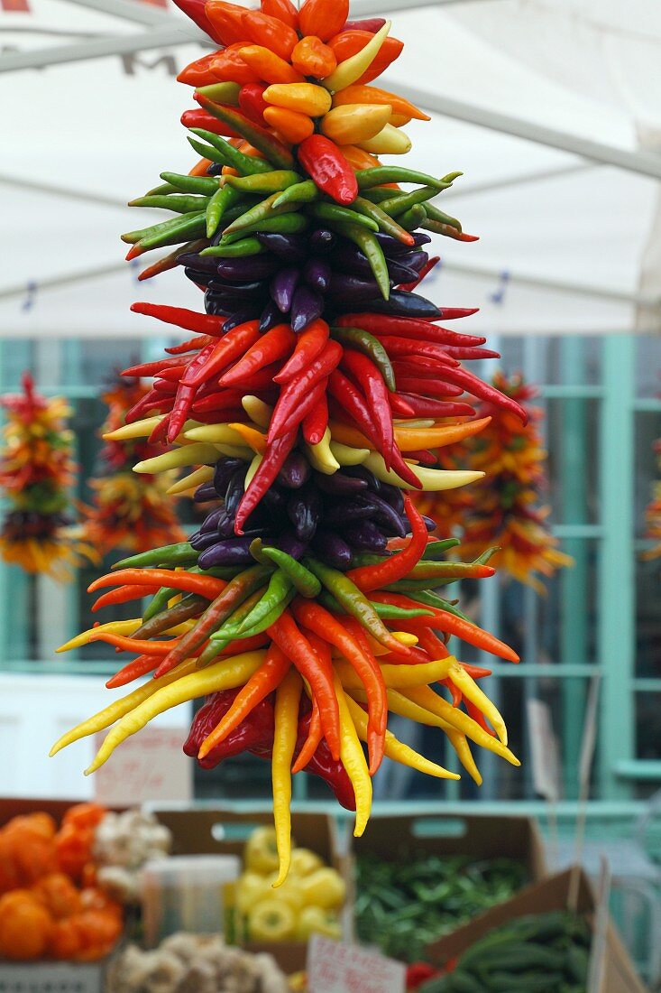 Verschiedene Chilischoten auf dem Pike Place Markt, Seattle, USA