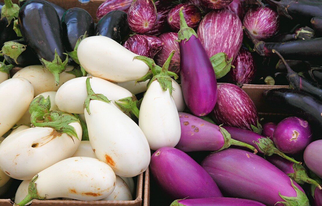 Various aubergines at the Pike Place Market, Seattle, USA