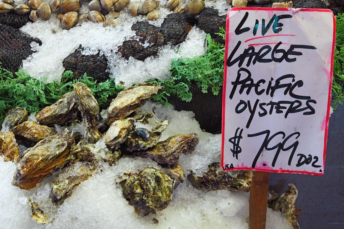 Pazifik-Austern auf dem Pike Place Fischmarkt, Seattle, USA